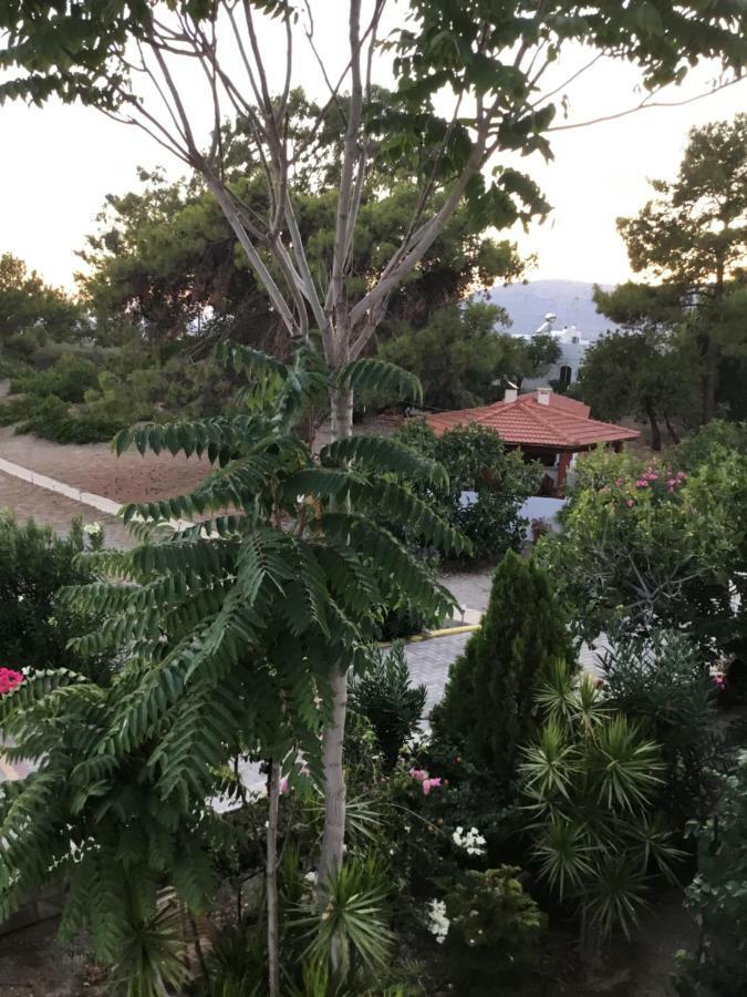 Villa Eirini Pefki エクステリア 写真